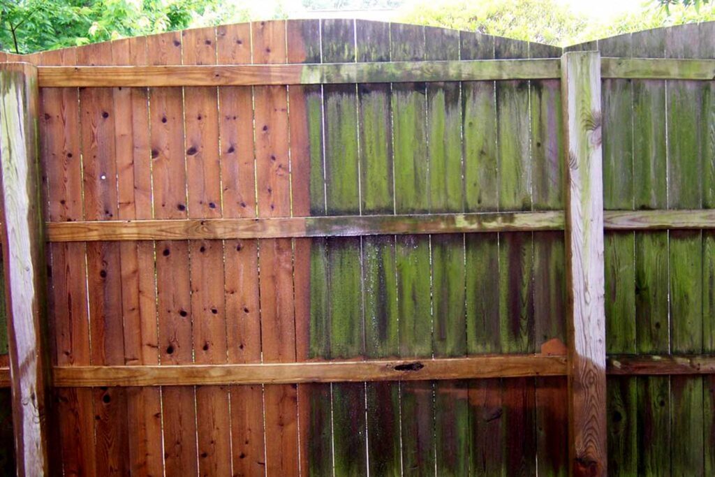 Fence’s cleaning