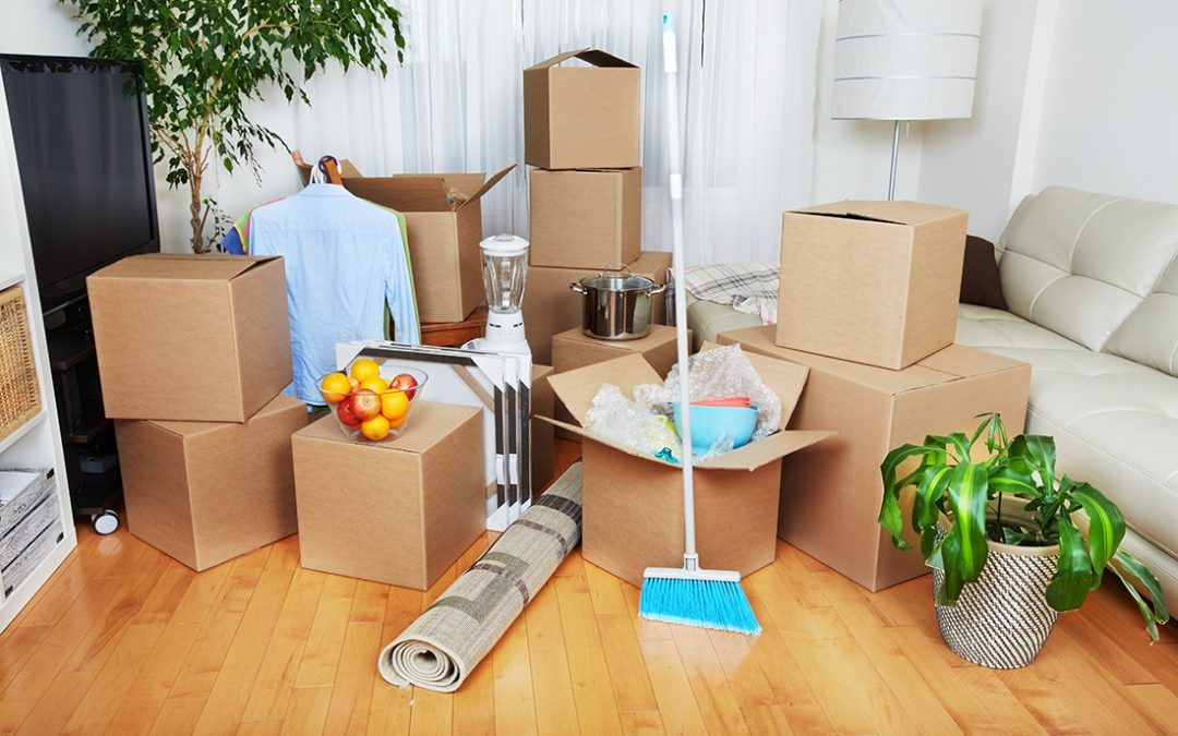 Expert Move Out Cleaning Services