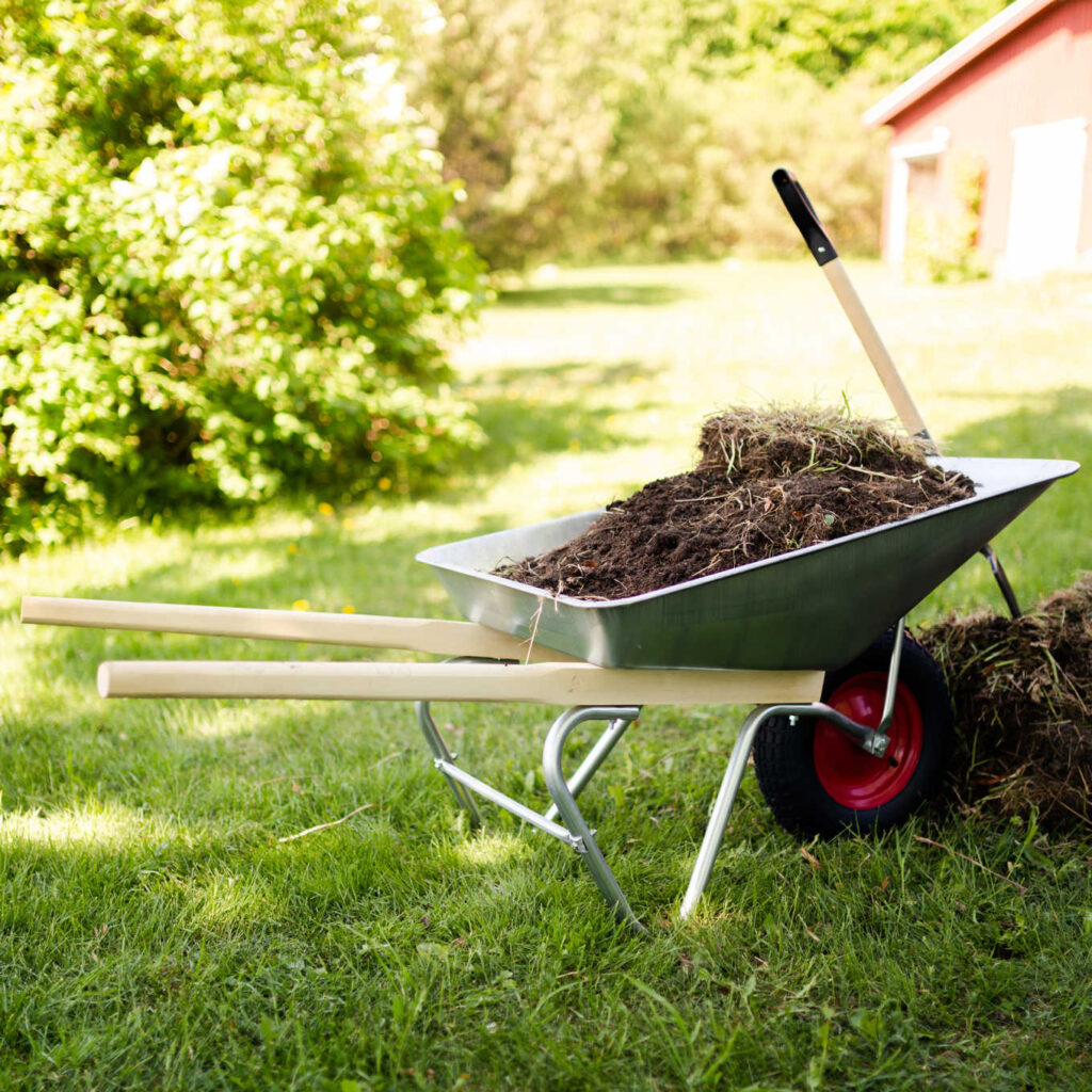 Yard Clean Services