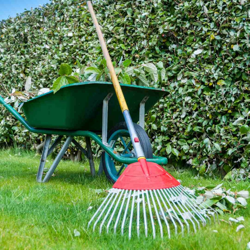 Yard Clean