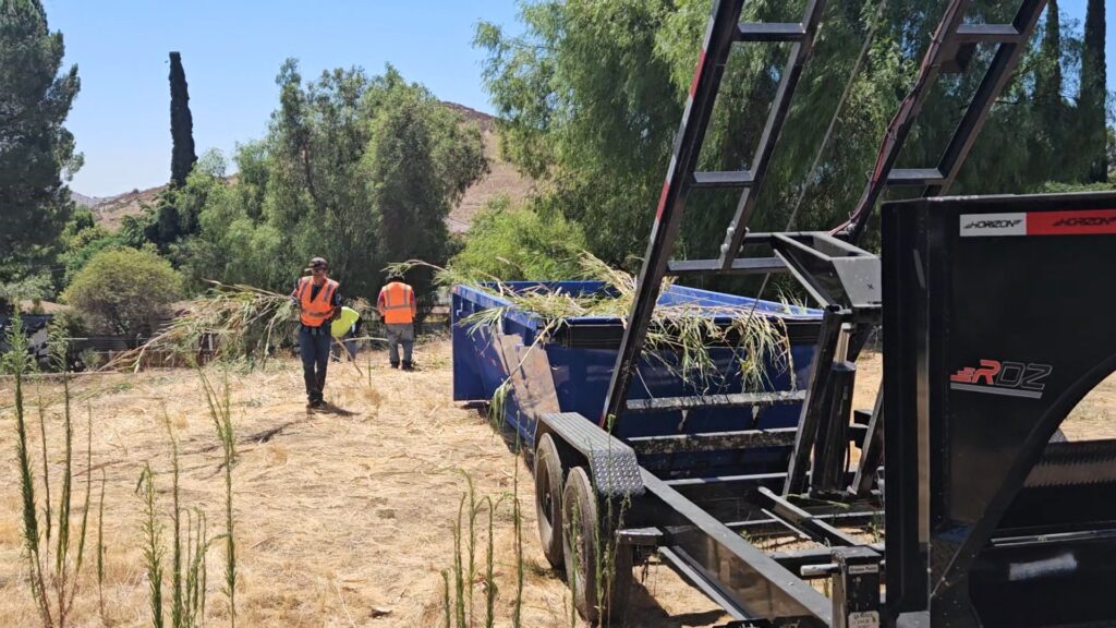 Expert Hauling Services