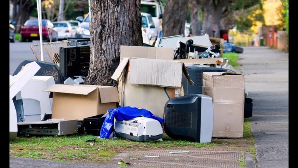 Professional Junk Removal Services